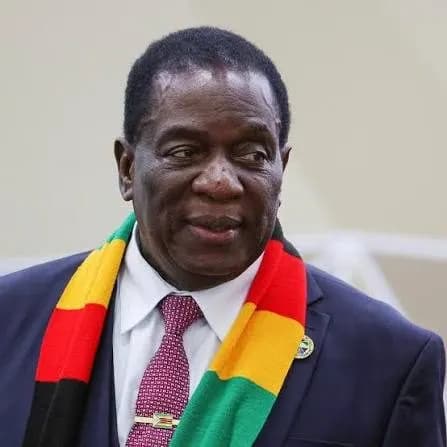 Portrait of President E. D. Mnangagwa wearing a Zimbabwe flag scarf.